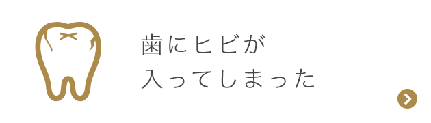 歯にヒビが入ってしまった